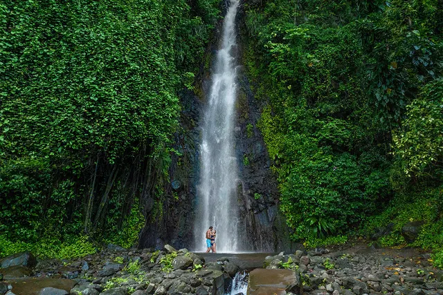 Dark View Falls cascading through rainforest on St. Vincent