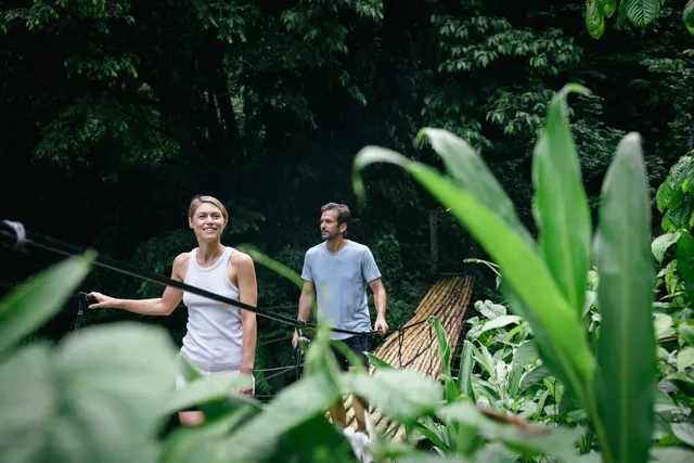 Hikers crossing the bamboo bridge at Dark View through lush rainforest