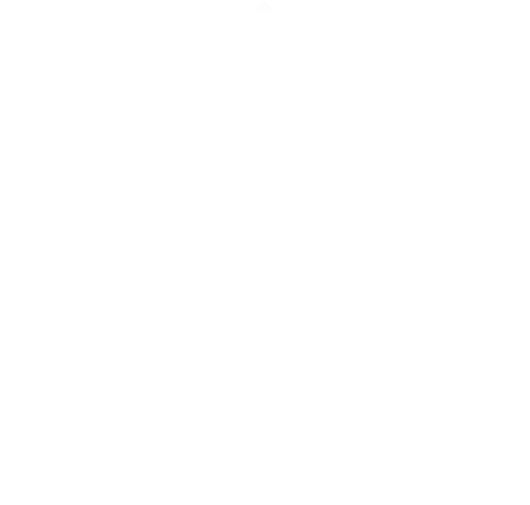 St. Vincent and the Grenadines