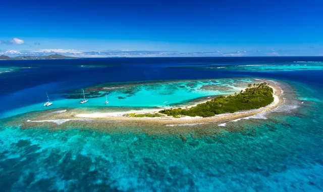 Petit Tabac island surrounded by reef in the Tobago Cays